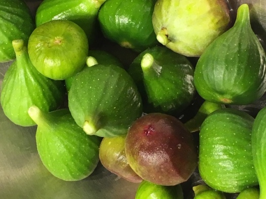Unripe green and black figs in a bowl