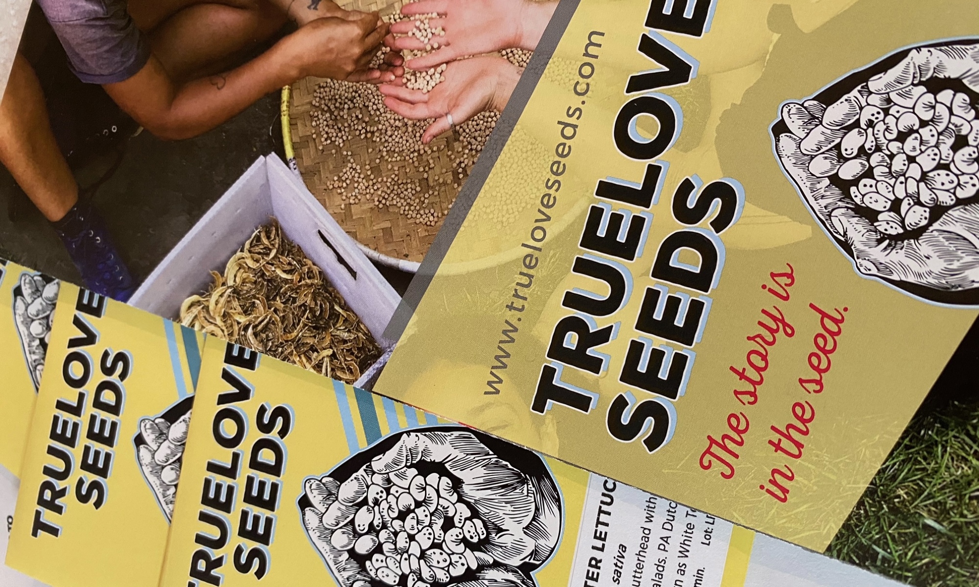 seed packets and a brochure from Truelove Seeds